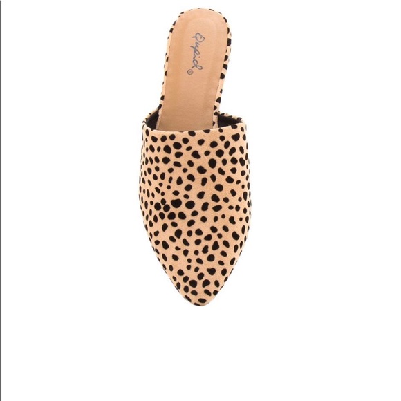 Qupid leopard mules - Picture 6 of 7
